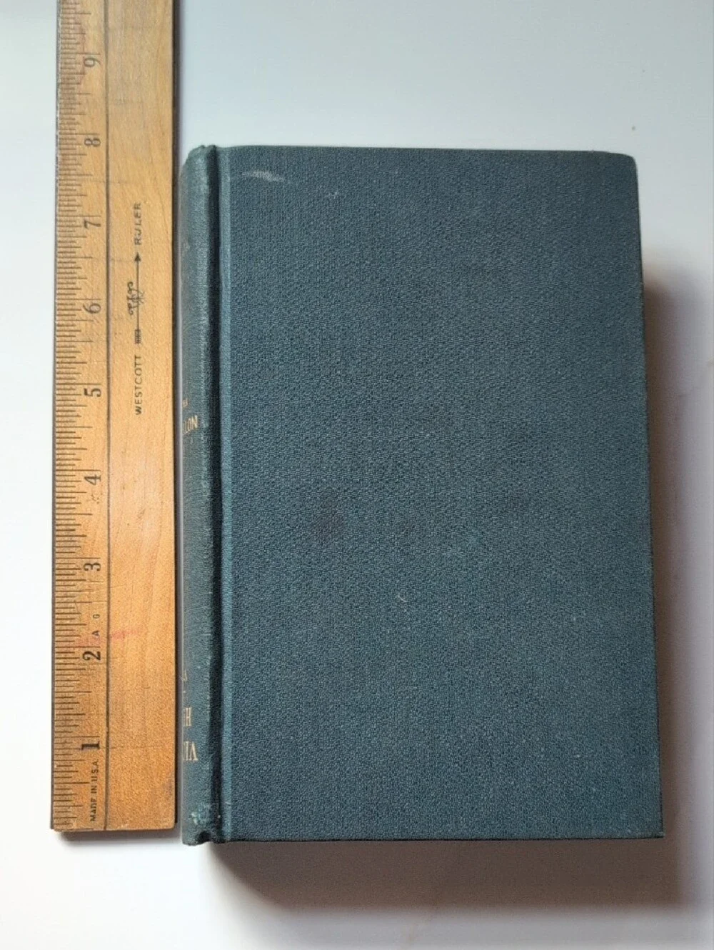 VTG Antique Victor Hugo Notre Dame Vol. I Hardcover Book PF Collier Illustrated